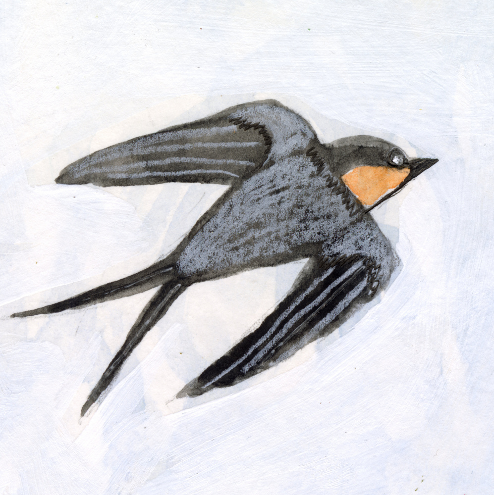 Graceful Swallow Flight by Sharyn Bursic — canvas wall art
