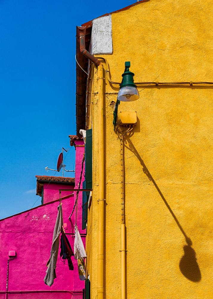 Vibrant Yellow and Pink by Tommaso Pessotto — canvas wall art