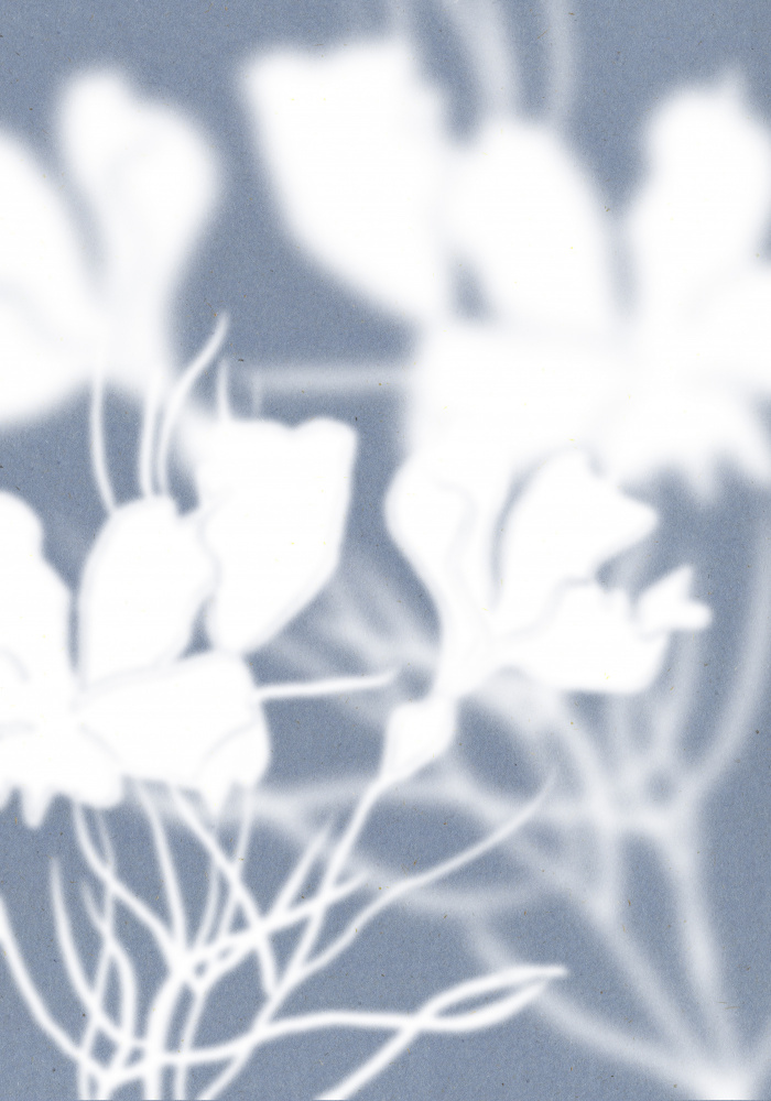 Ethereal Floral Silhouettes by THE MIUUS STUDIO — canvas wall art
