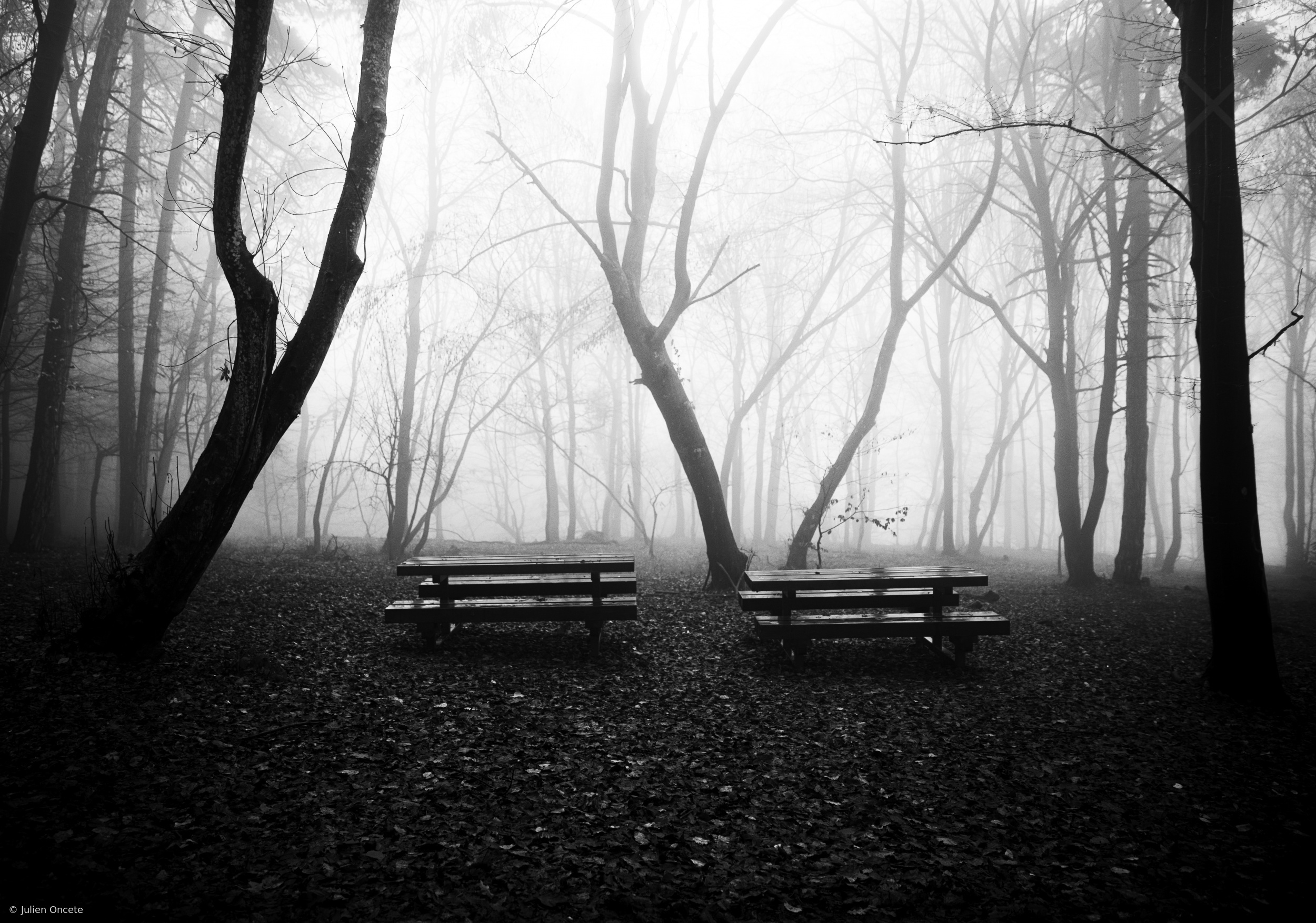 Benches