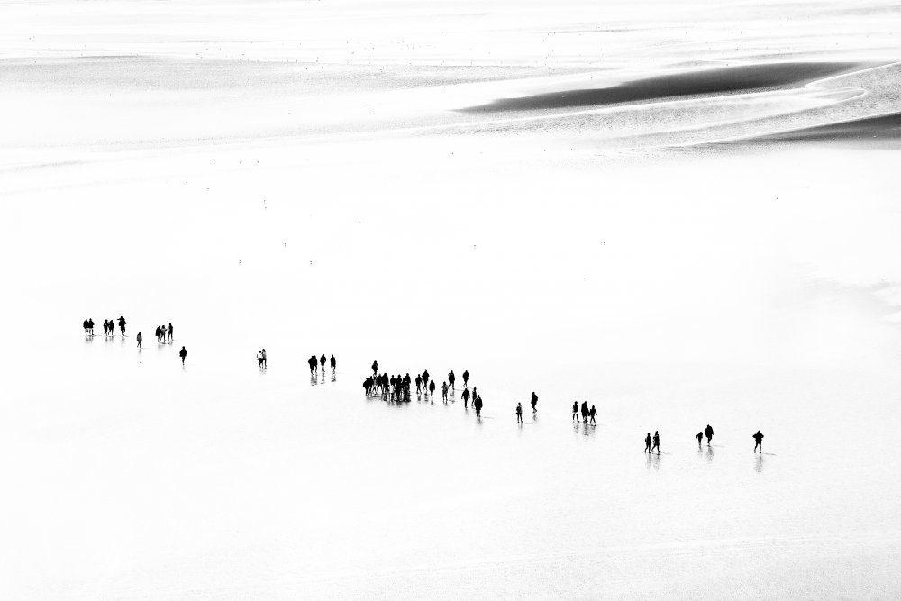Silhouettes on White Expanse by Benjamine Hullot Scalvenzi — canvas wall art