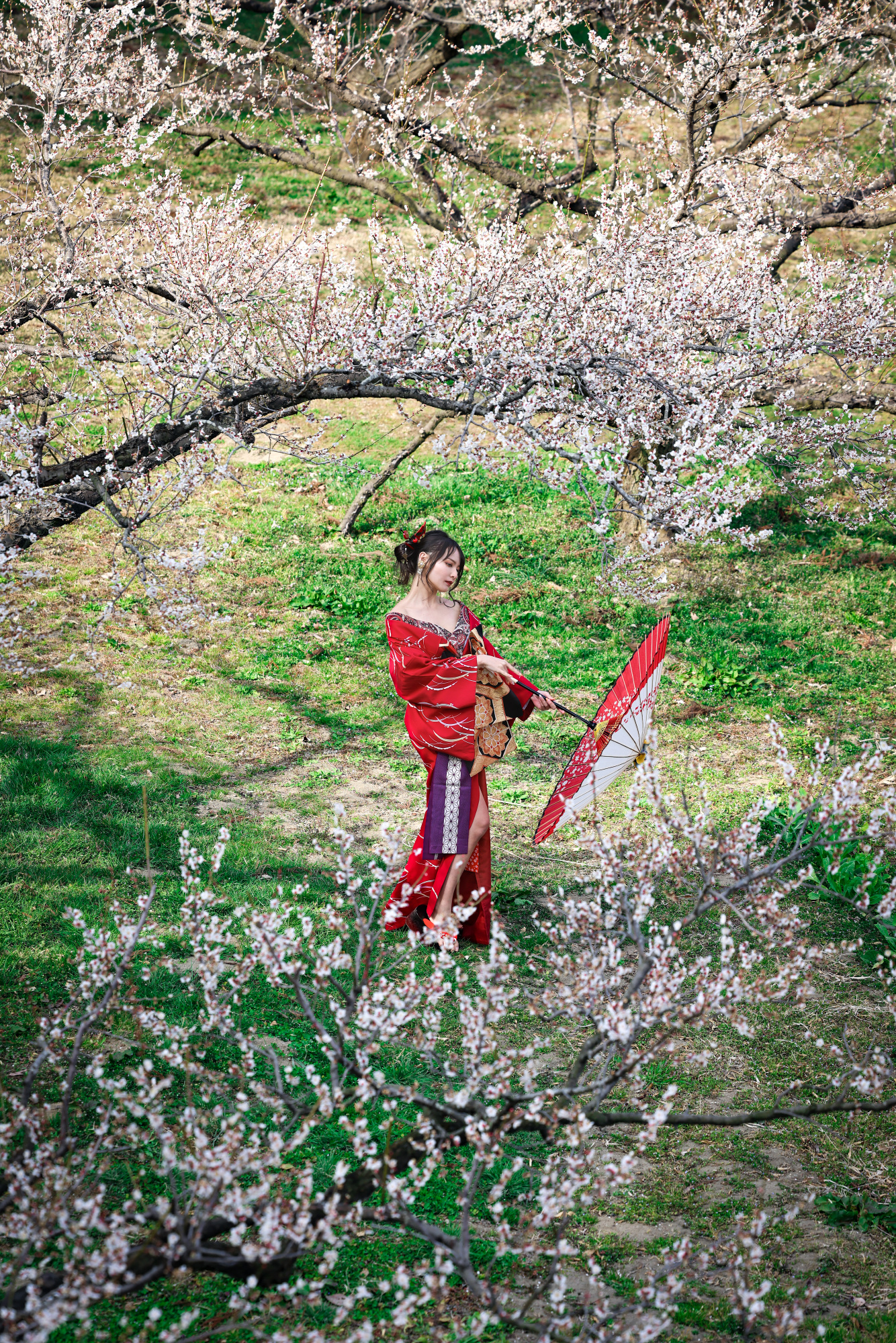 Circular Spring Boss signs of spring by boss