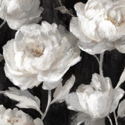 White Peonies On Black Julia Cheney