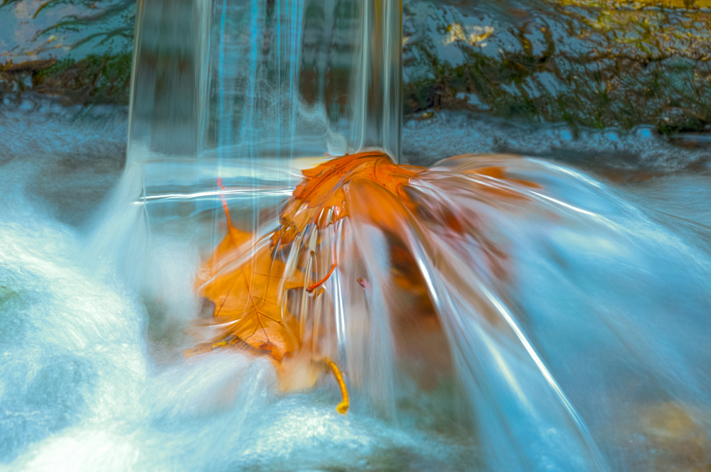 Golden Leaf Cascade by Ina Bouhuijzen — canvas wall art