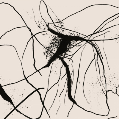 Dynamic Ink Lines