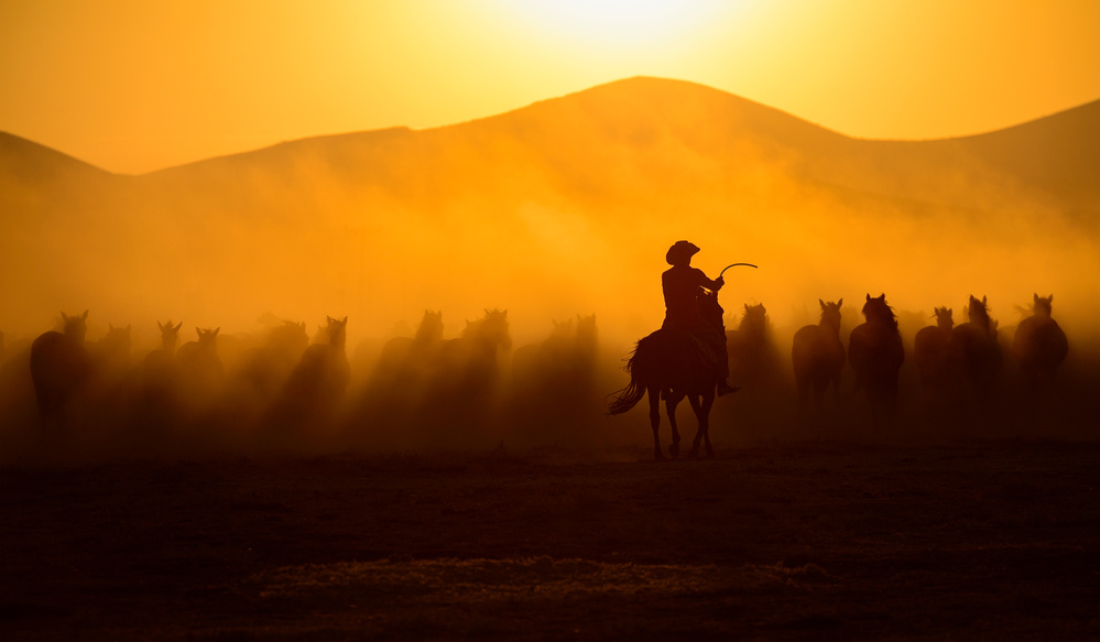 Sunset Wild Horses by Yavuz Pancareken — canvas wall art