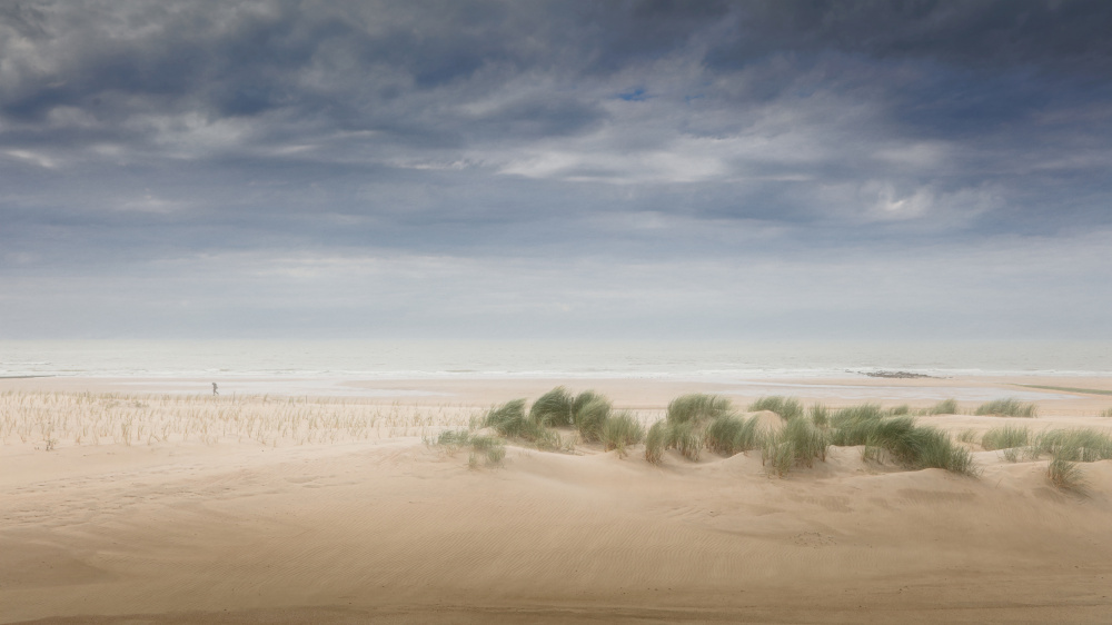 Breezy summer by Bruno Flour — canvas wall art