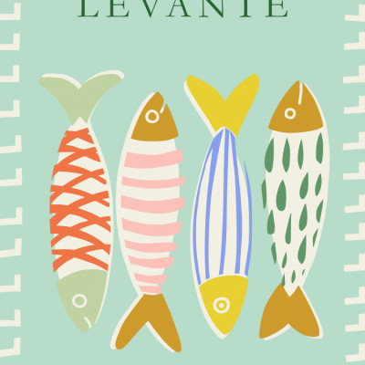Colorful Mediterranean Sardines