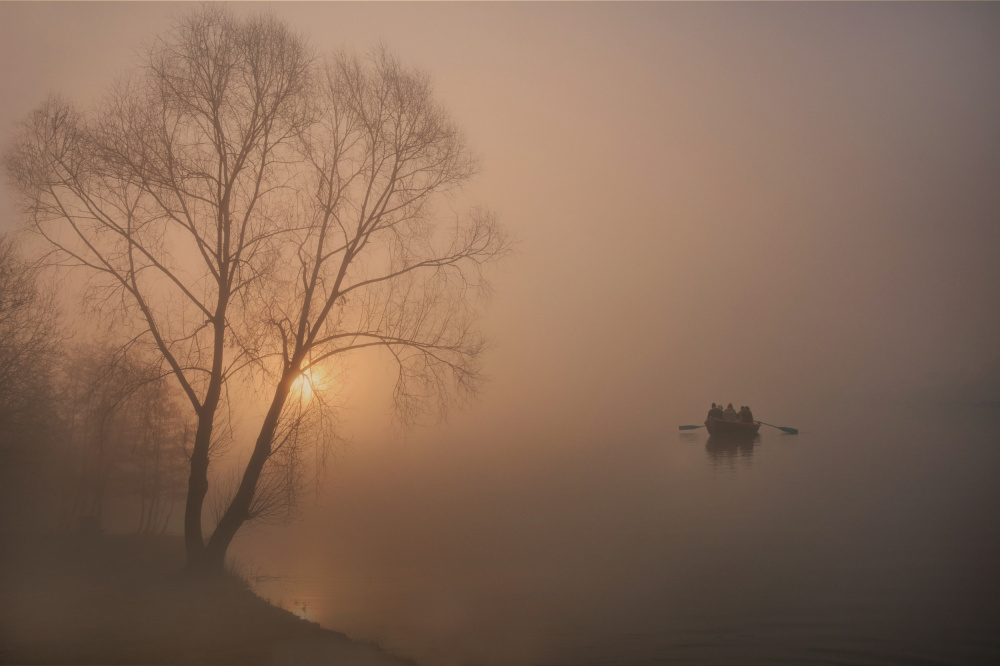 Misty Lake Dawn by Lou Urlings — canvas wall art