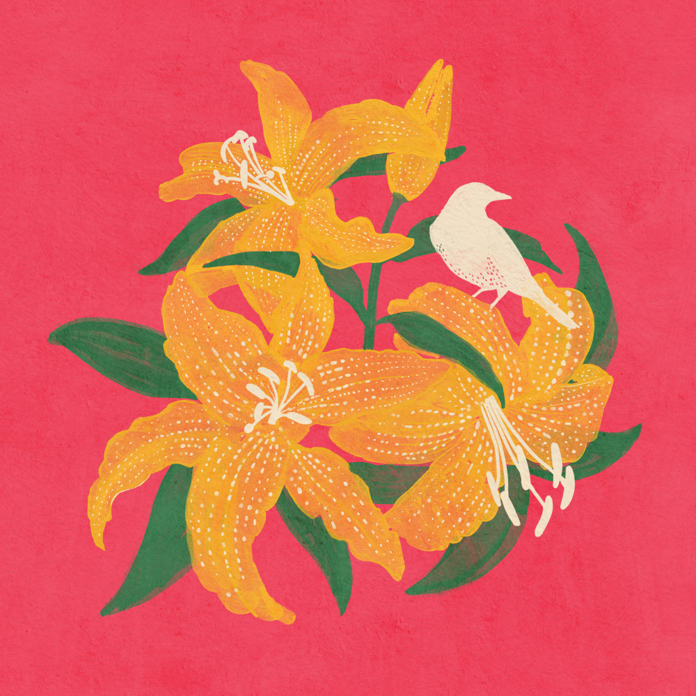 Bird and Lilly by Katie O'Shea — canvas wall art