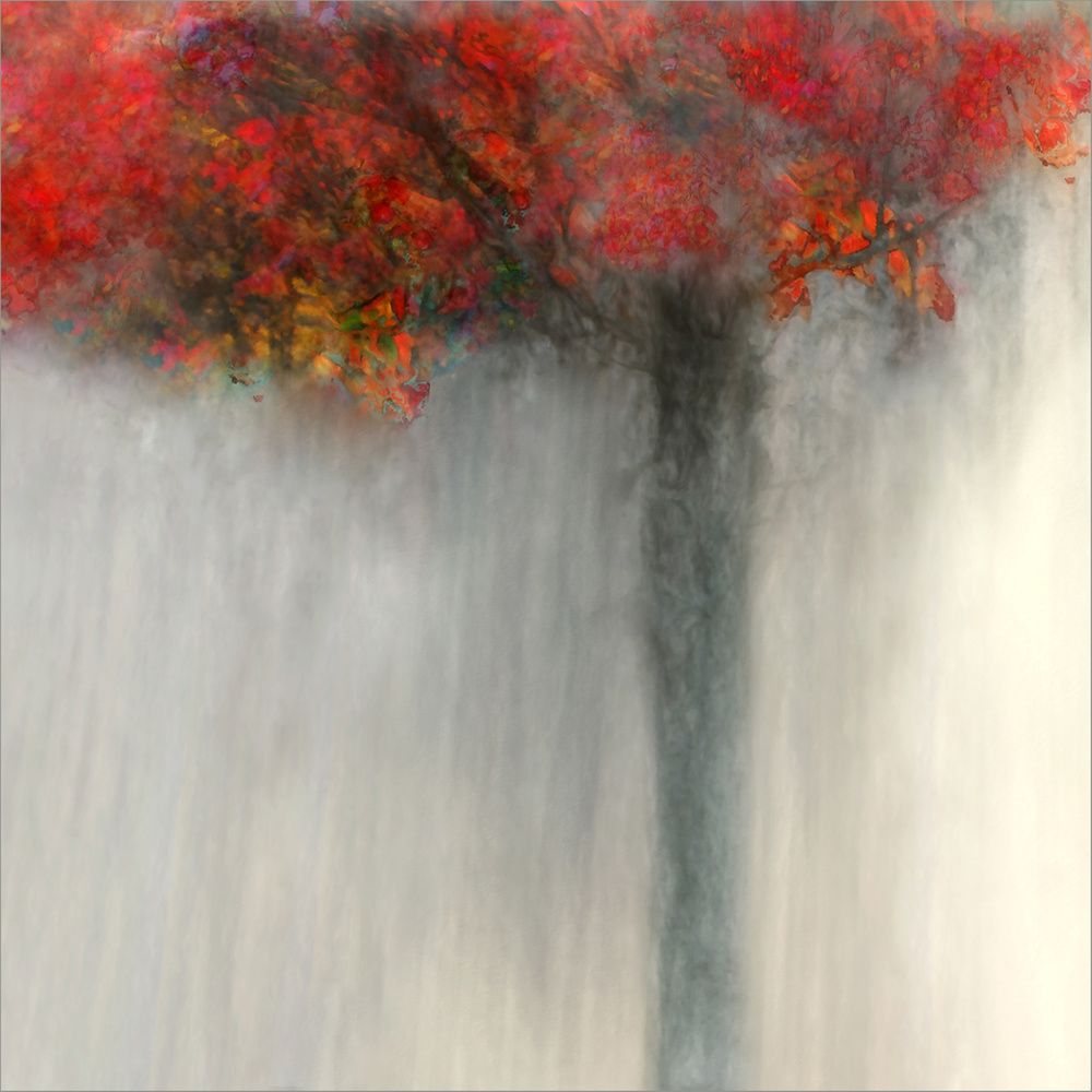 Vibrant Autumn Tree by Gilbert Claes — canvas wall art