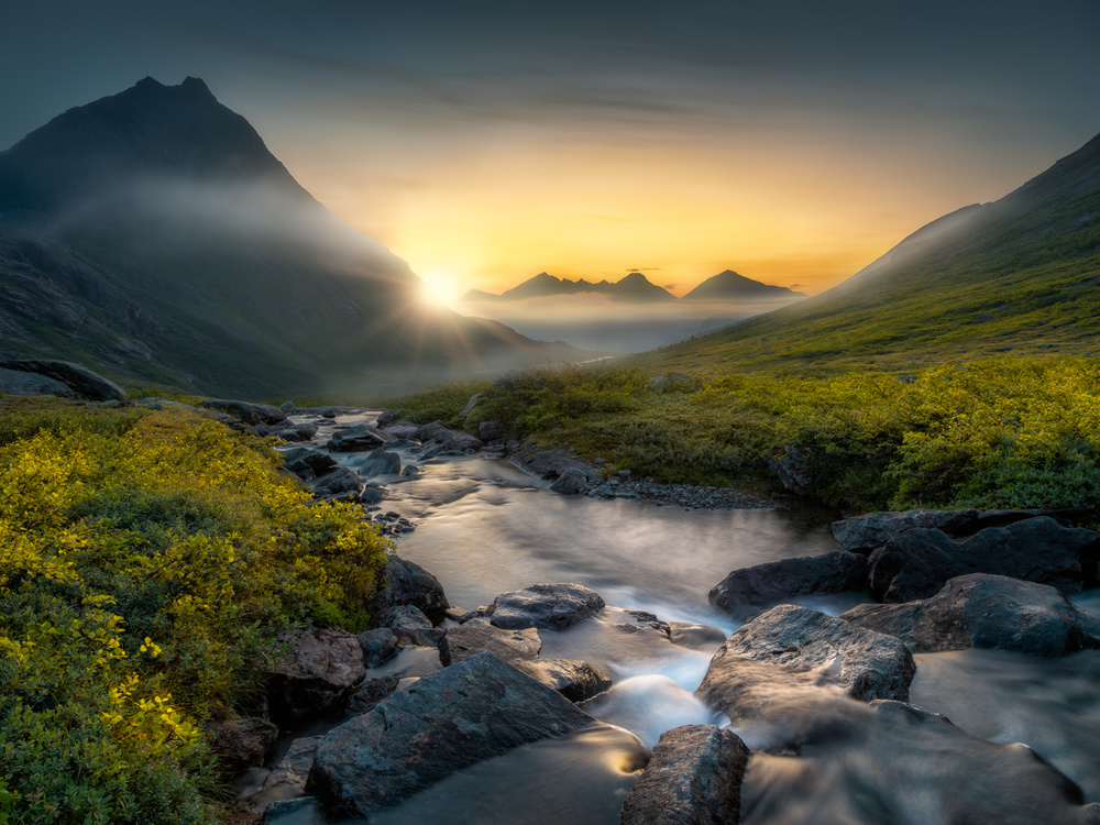 Golden Mountain Stream by Ole Henrik Skjelstad — canvas wall art