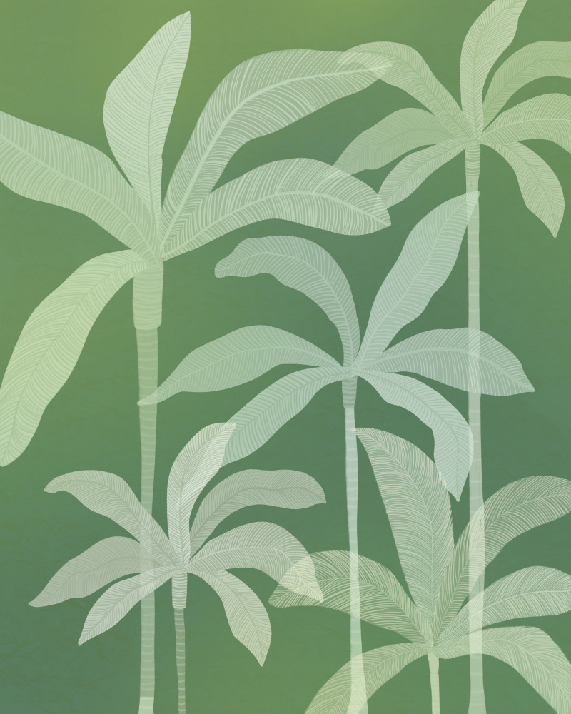 Serene Green Palms by Kristian Gallagher — canvas wall art