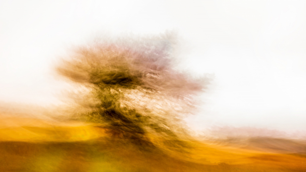 Golden Abstract Tree by Ina Bouhuijzen — canvas wall art