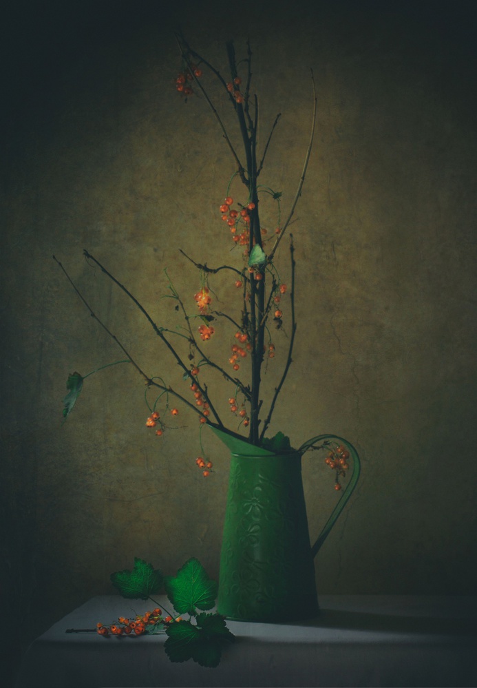Dark Botanical Still Life by Delphine Devos — canvas wall art