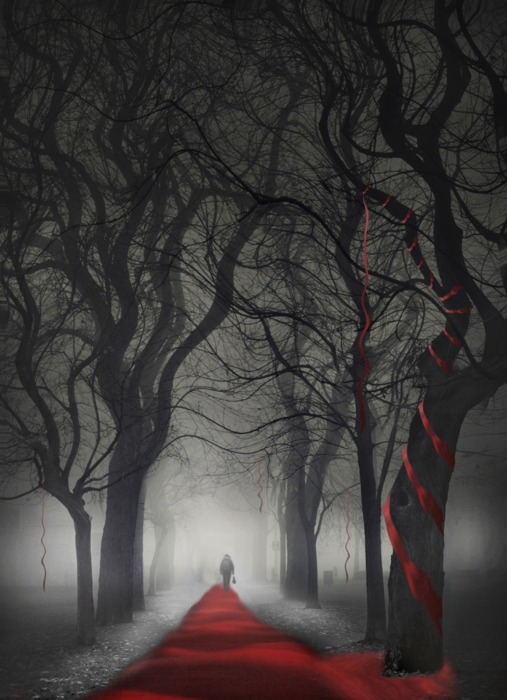 Red Path Dark Trees by David Senechal Photographie (polydactyle) — canvas wall art