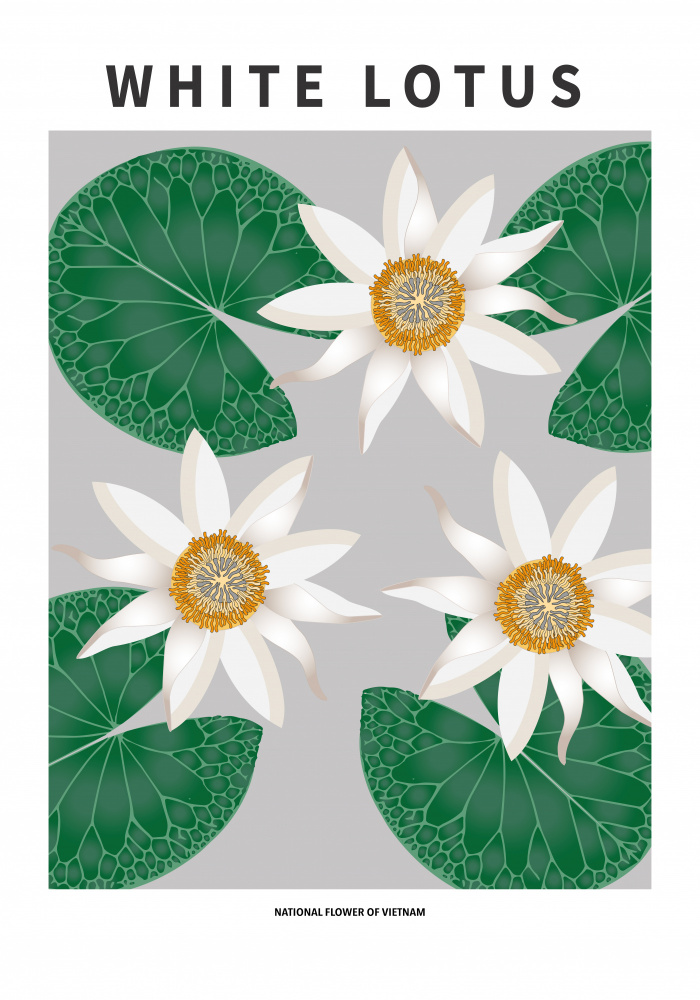 White Lotus Bloom by Paperago — canvas wall art