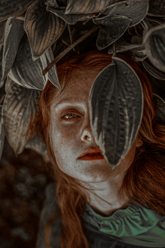 Intense Leafy Gaze by Barbora Biňovcová — canvas wall art