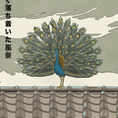 Elegant Japanese Peacock