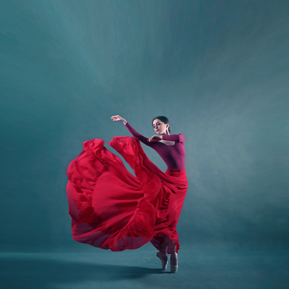 Graceful Red Ballerina by Moein Hasheminasab — canvas wall art