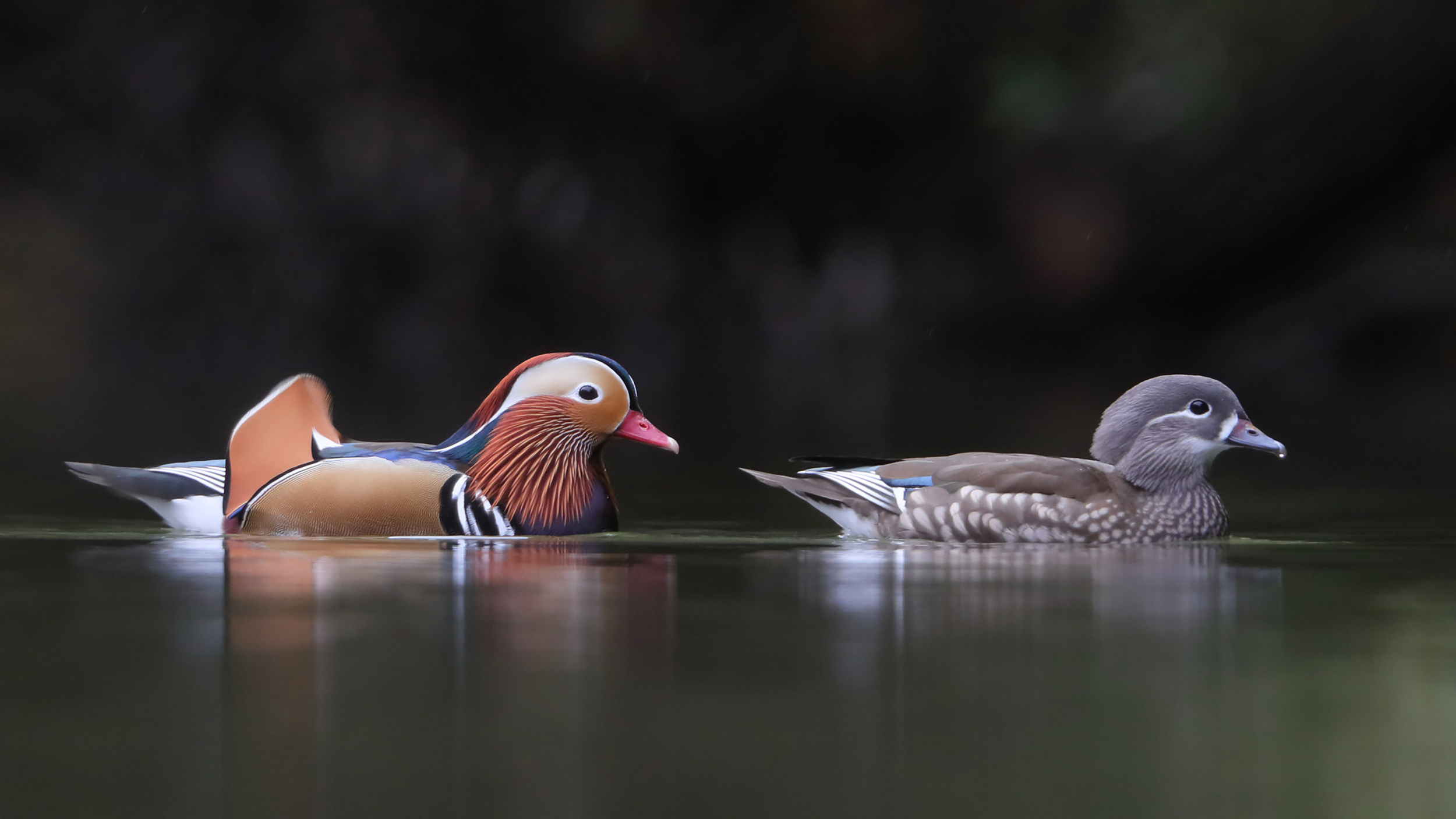 1x.com • In Pursuit of the Sublime