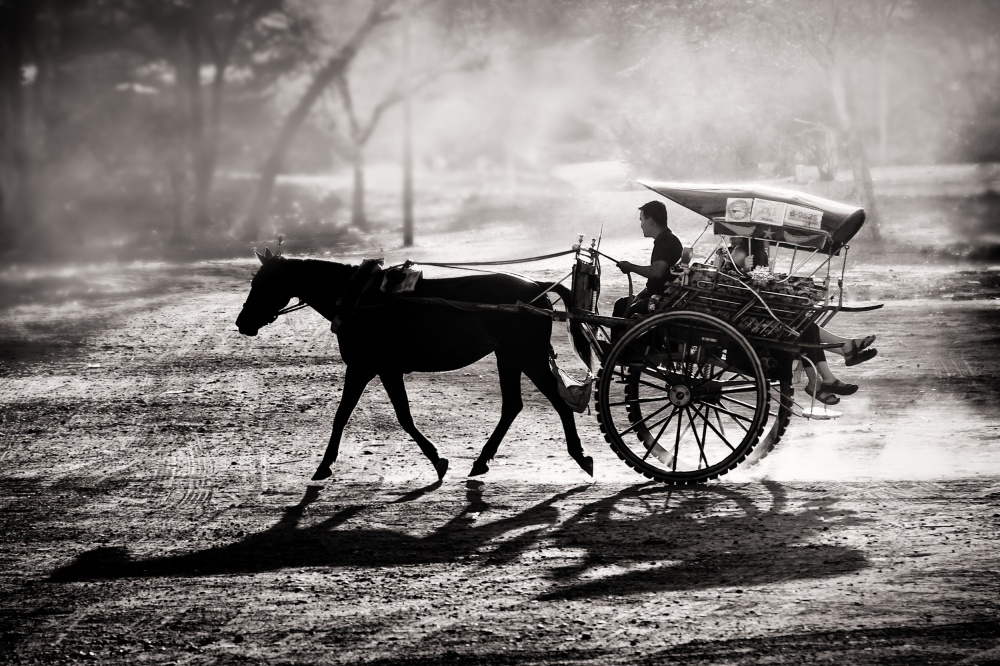 Horse Cart Morning Light by Tom Baetsen - xlix.nl — canvas wall art