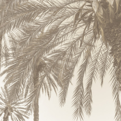 Sicilian Memories 12