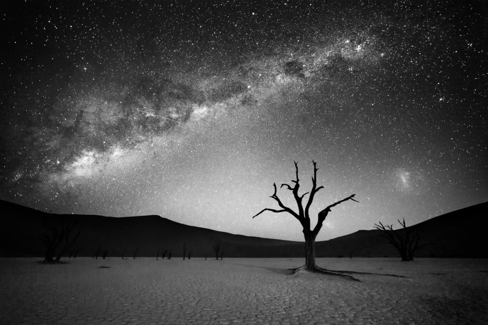 Milky Way Desert Tree by fegari — canvas wall art