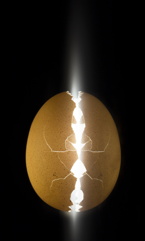 Emerging Light Egg by Wieteke de Kogel — canvas wall art