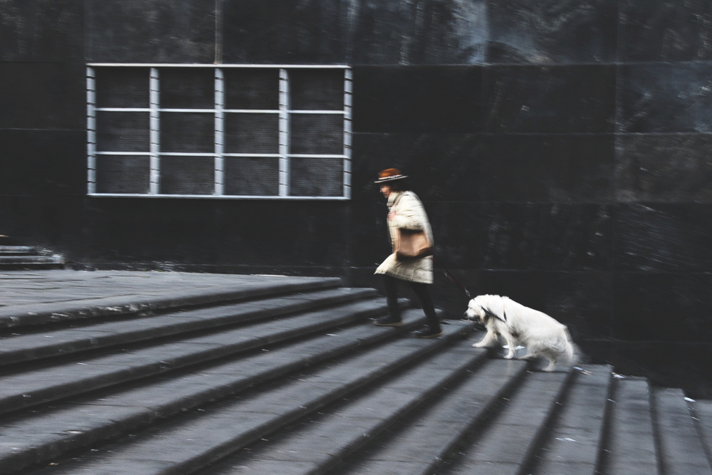Woman Dog City Stairs by Antonio Grambone — canvas wall art