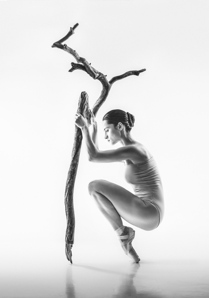 Ballet Dancer with Branch by Łukasz Kozłowski — canvas wall art