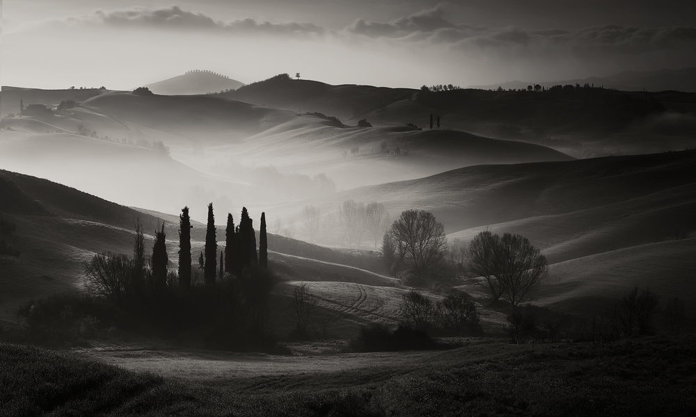 Cypress Hills Morning Mist by Fabrizio Massetti — canvas wall art