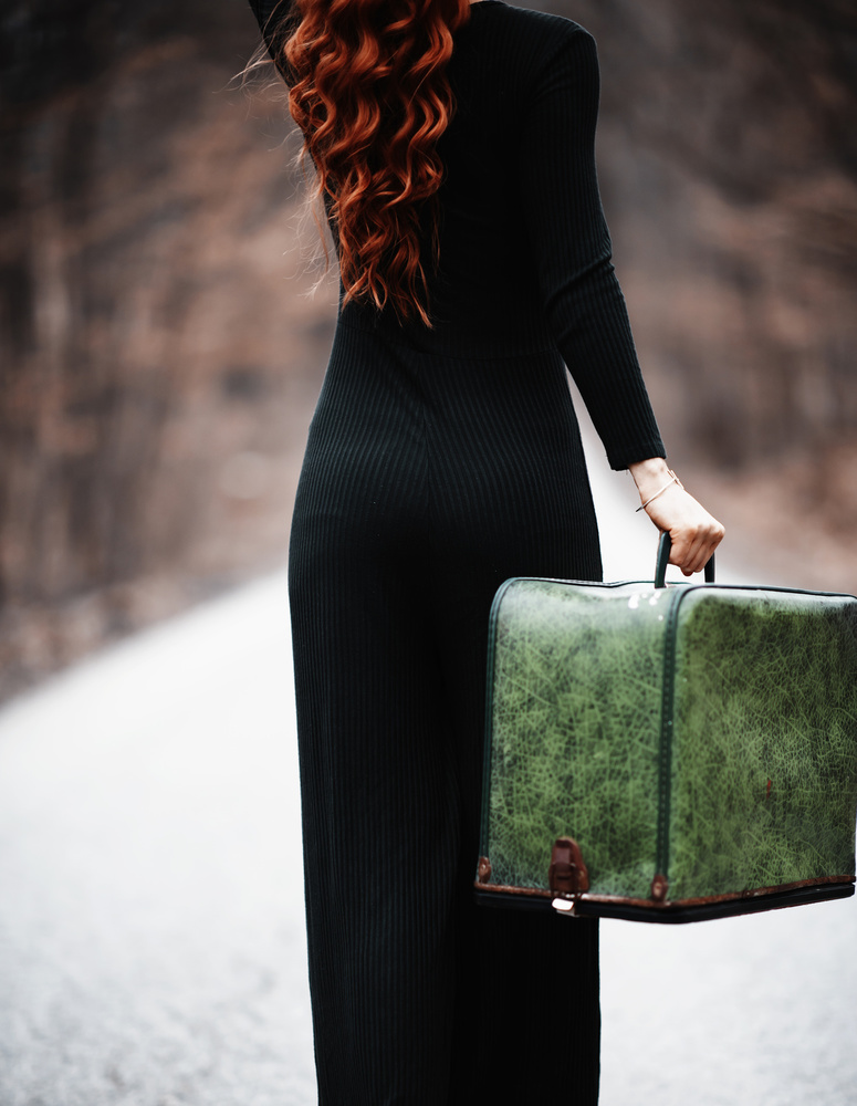 Journey With Green Suitcase by Amir Bajrich — canvas wall art