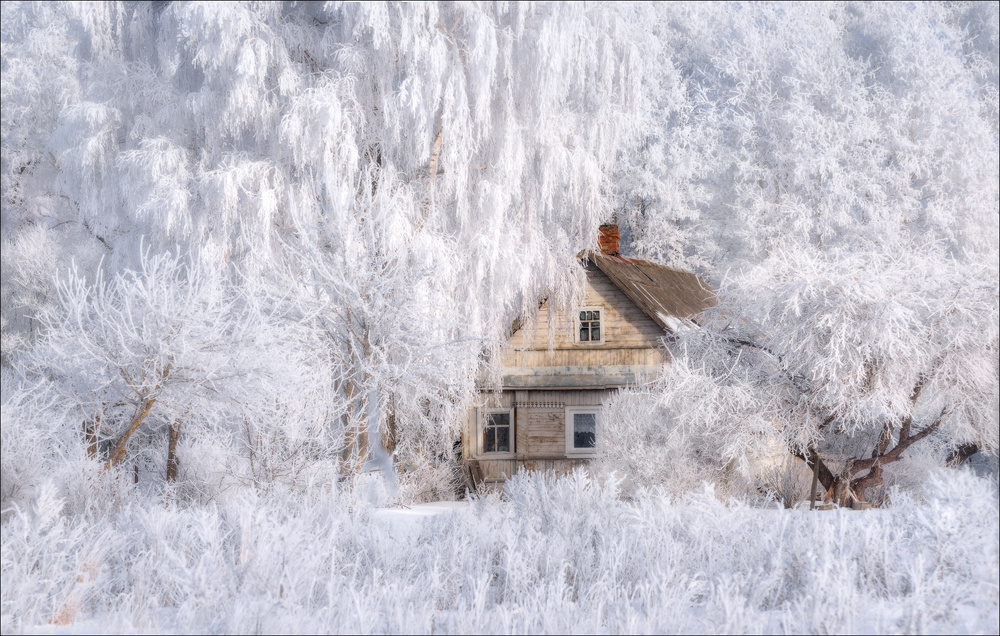 Frosted Winter House by Vlad Sokolovsky — canvas wall art