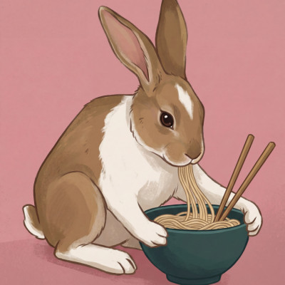 Noodle Rabbit