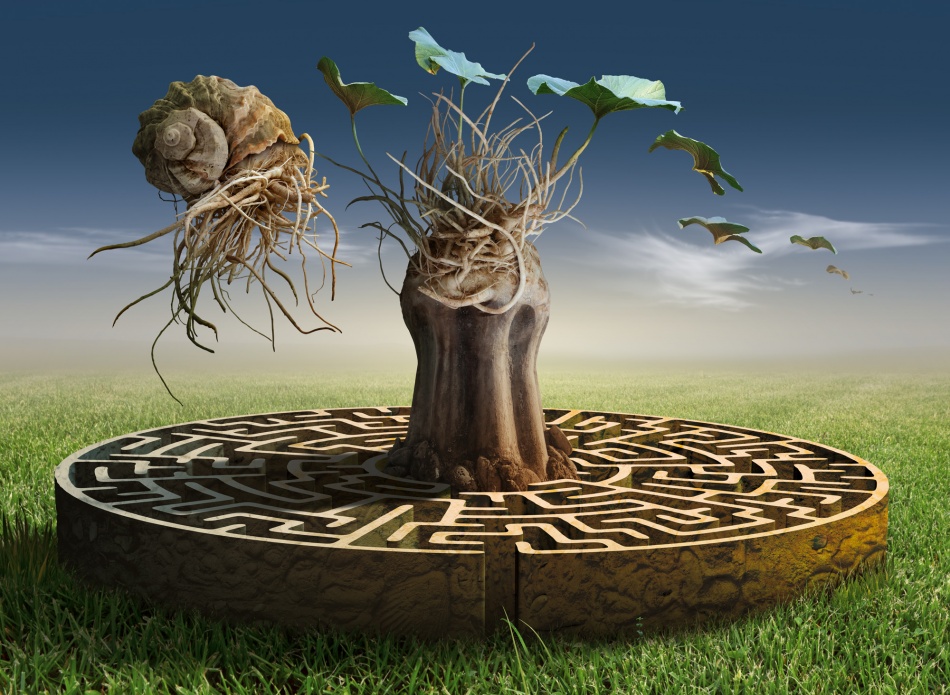 Dreamscape Labyrinth by Radoslav Penchev — canvas wall art