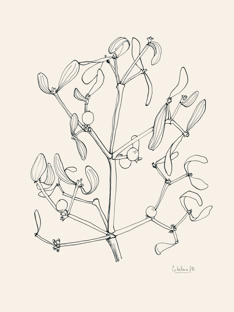 Holiday Mistletoe Line Art by Catalina Somolinos — canvas wall art