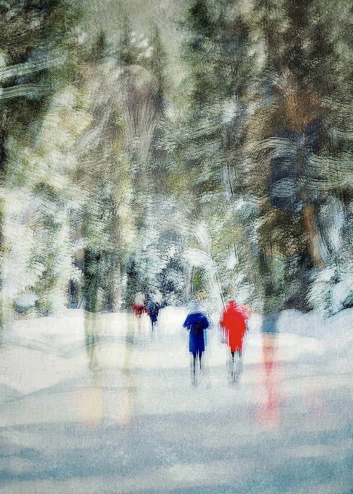 Winter Forest Walk by Molly Fu APA — canvas wall art
