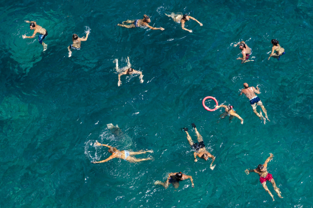 Aerial Ocean Swimmers by Carlo Tonti — canvas wall art