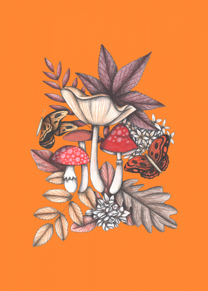 Autumn Mushroom Butterflies by Cecilia Battaini — canvas wall art