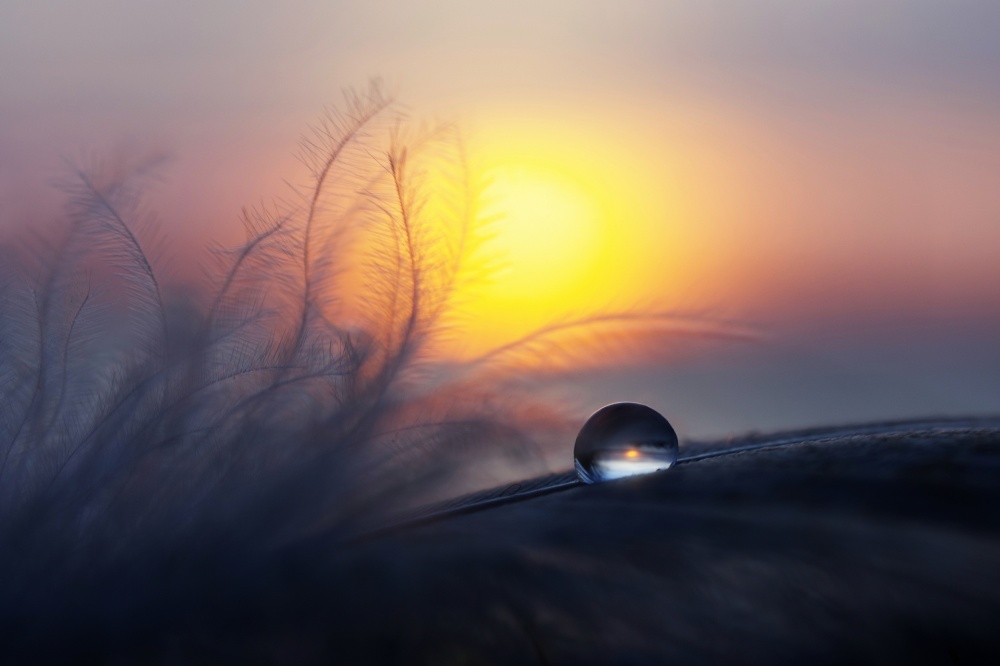 Water Drop Sunset Glow by Peep Loorits — canvas wall art