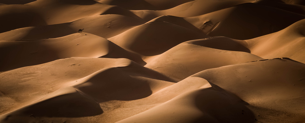 Golden Desert Dunes by Khalid Jamal — canvas wall art