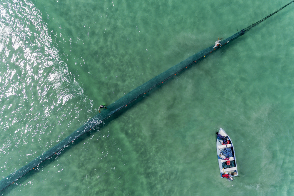 Turquoise Water Fishing by Haitham AL Farsi — canvas wall art