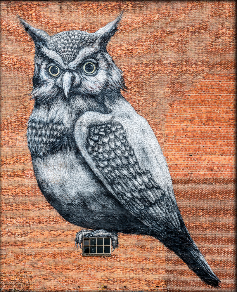 Wise Owl Mural by Laruelle Philippe — canvas wall art