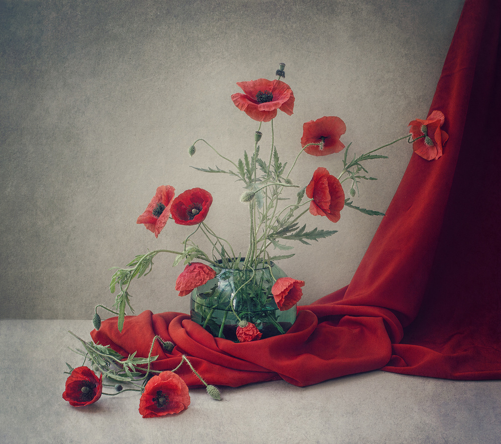 Classic Poppy Still Life by Dimitar Lazarov - Dim — canvas wall art