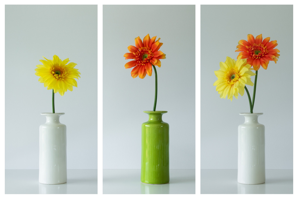 Colorful Gerbera Vases by Jacqueline Hammer — canvas wall art