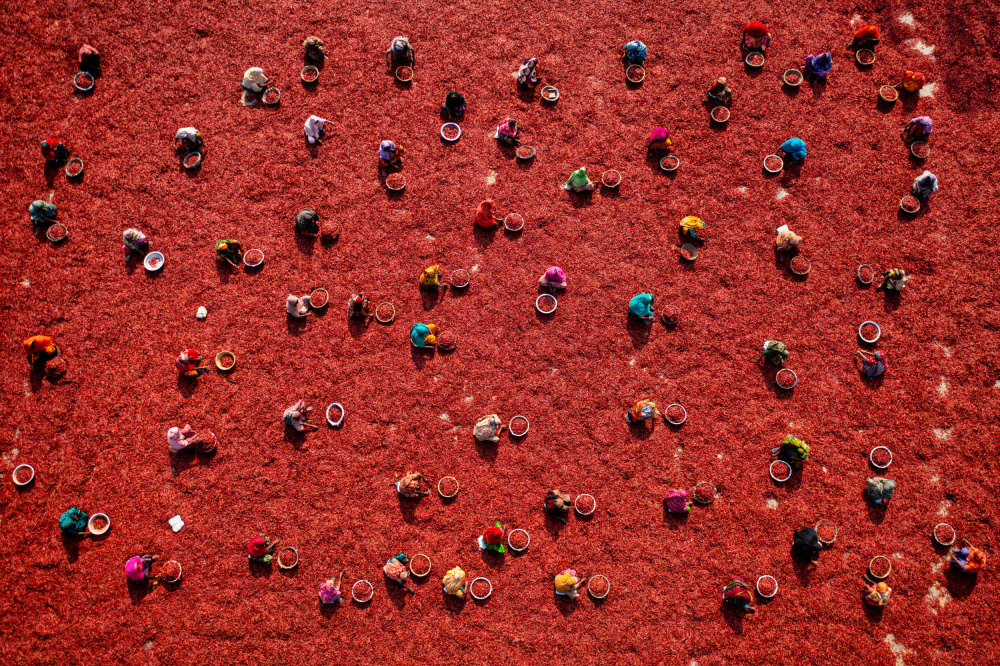 People Drying Red Chilies by Azim Khan Ronnie — canvas wall art