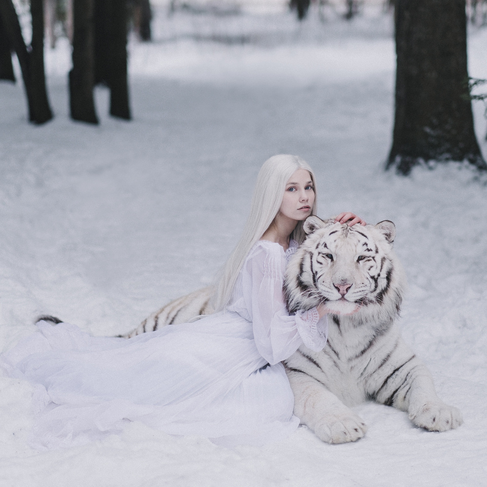 Snow Queen White Tiger by Olga Barantseva — canvas wall art