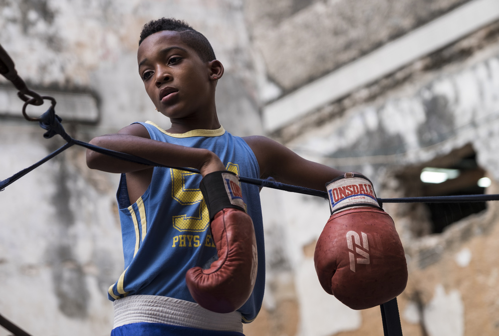 Young Boxer in Ring by ihyabozkurt — canvas wall art