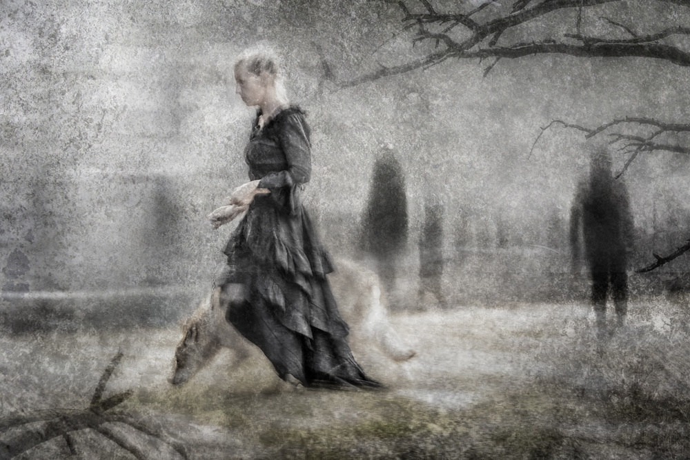 Misty Forest Wanderer by Martine Benezech — canvas wall art